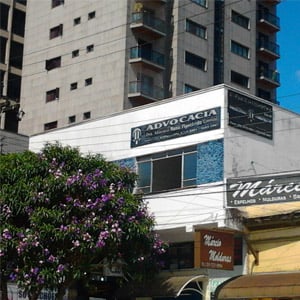 A quaresmeira florida alegra a frente do escritório da mineira Poços de Caldas.