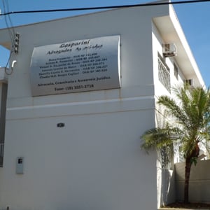 O céu azul e a palmeira ao lado escritório da interiorana Lucélia/SP dão um toque mais descontraído ao ambiente.