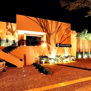 A sombra dos galhos projetada na parede do escritório de Campo Grande/MS cria uma efeito fantástico.