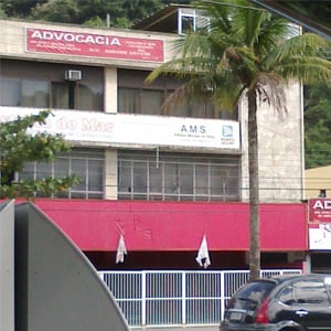 O coqueiro na frente do escritório do Guarujá/SP simboliza bem a região litorânea. 