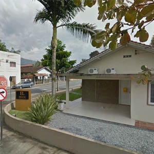 A árvore, mais conhecida como chapéu-de-sol, diante da banca de Jaraguá do Sul/SC faz desta fachada um belo cartão postal. 