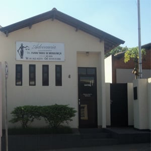 Um pé de mamão bem carregado pode ser notado pelos clientes que chegam ao escritório de Frutal/MG.