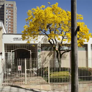 O florido ipê amarelo faz do escritório de Sorocaba/SP um belo cartão postal.