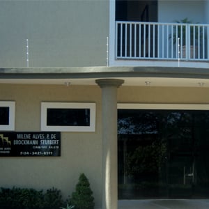 Variadas espécies de plantas embelezam os canteiros da banca de Frutal/MG. 