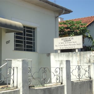 Quem chega ao escritório, em Olímpia/SP, avista na casa ao lado um pé de mamão carregado da fruta.