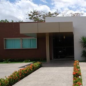 Os canteiros floridos recepcionam os clientes no caminho até a entrada do escritório de Teresina/PI. 