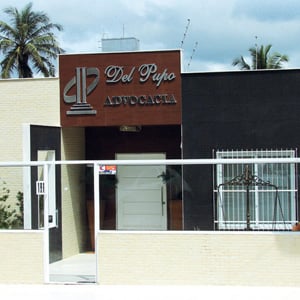 Ao fundo do escritório da praiana Guarapari/ES, os coqueiros decoram o ambiente.