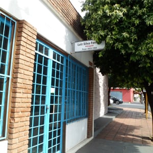 Em Lins, interior de SP, as folhagens da árvore quase encobre a placa do escritório.